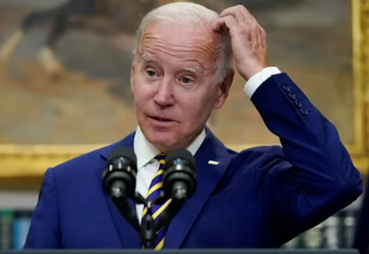 Tennessee Democrat Screamed Obscenities at State Troopers — Because Apparently Cursing at Cops Is ‘Democracy’ Now