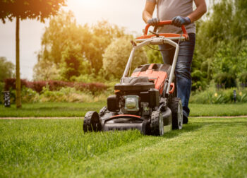 Gardener mowing the lawn. Landscape design. Gardening